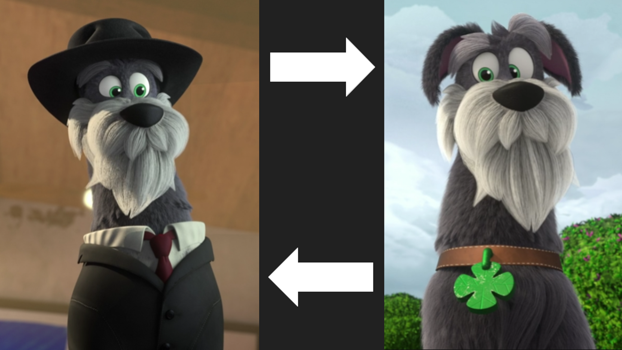 Tap 2024 dancing dog