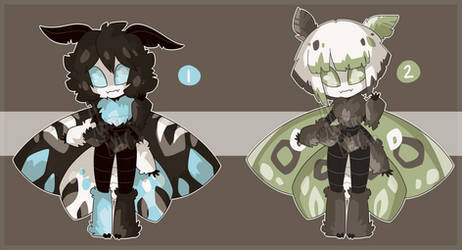 Moth Adoptables - [CLOSED]