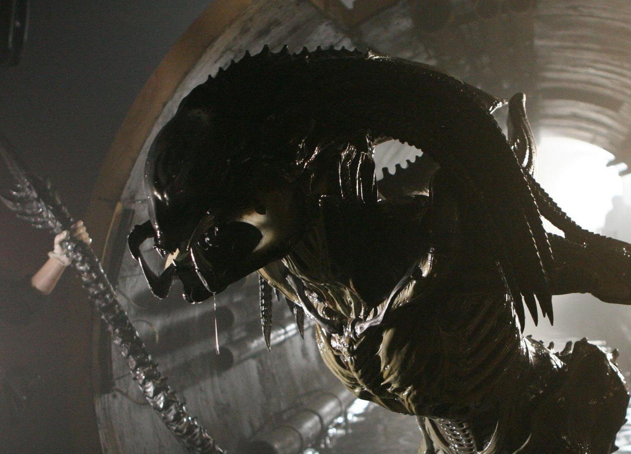 PredAlien Umm Whos Holding my Tail by Indoraptor11 on DeviantArt