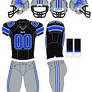 Lions alternate uniform concept