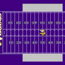 Vikings all purple Field