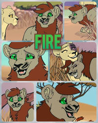 My Pride Fire Collage