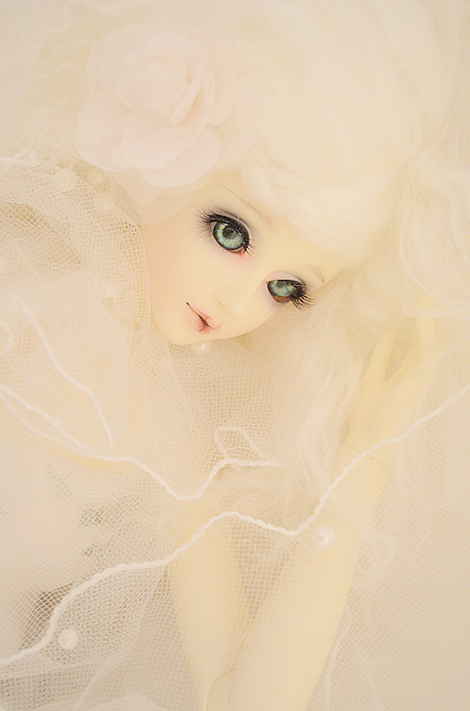 White Queen -wagashi 1