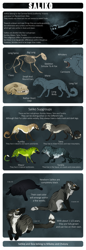 Saliko - Species Sheet