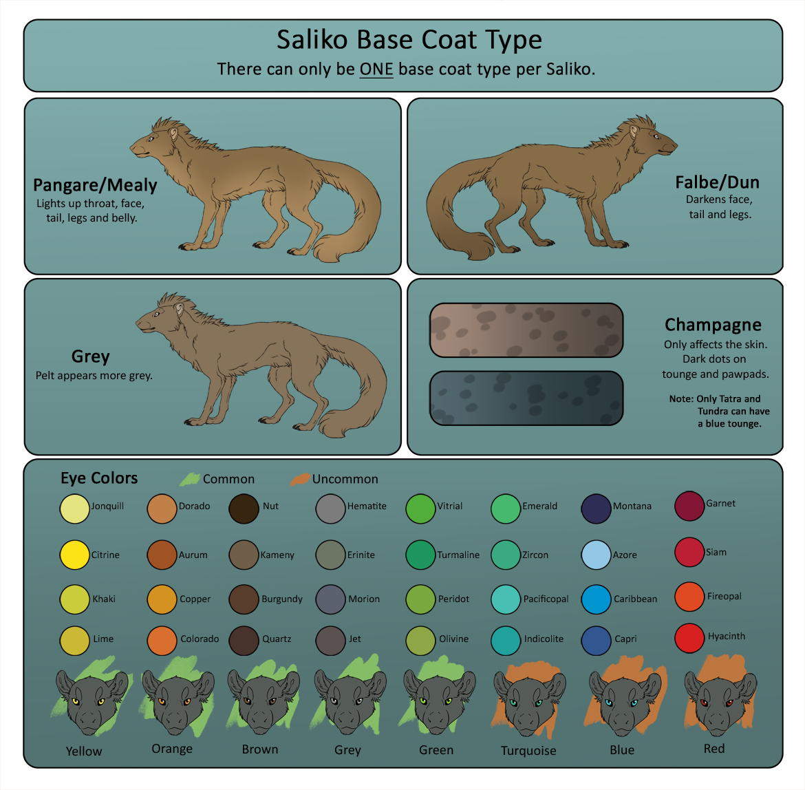 Saliko - Base Coat Types