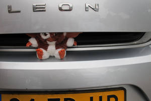 Gizmo -he is in your car too-