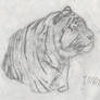 Tiger Study Sketch 001