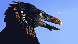 Velociraptor study