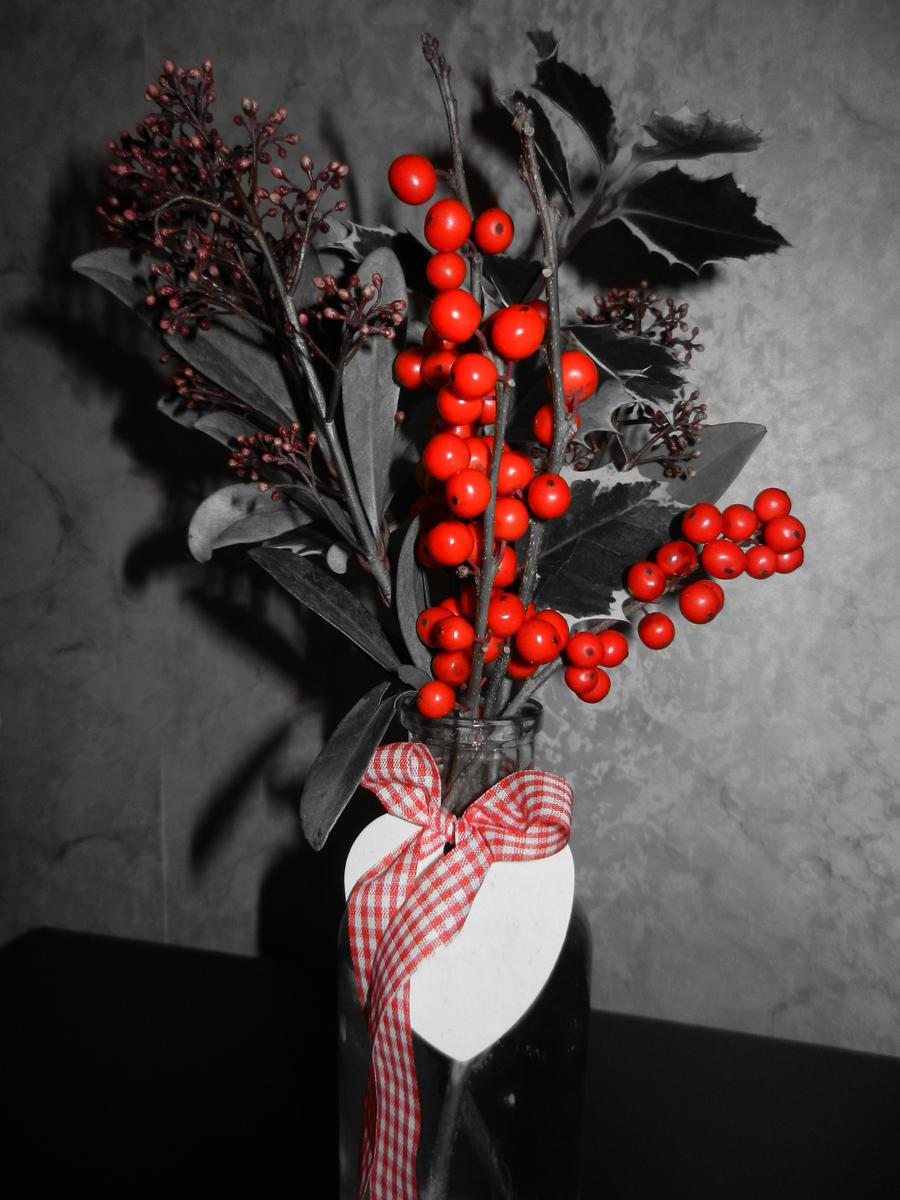 Christmas Flowers