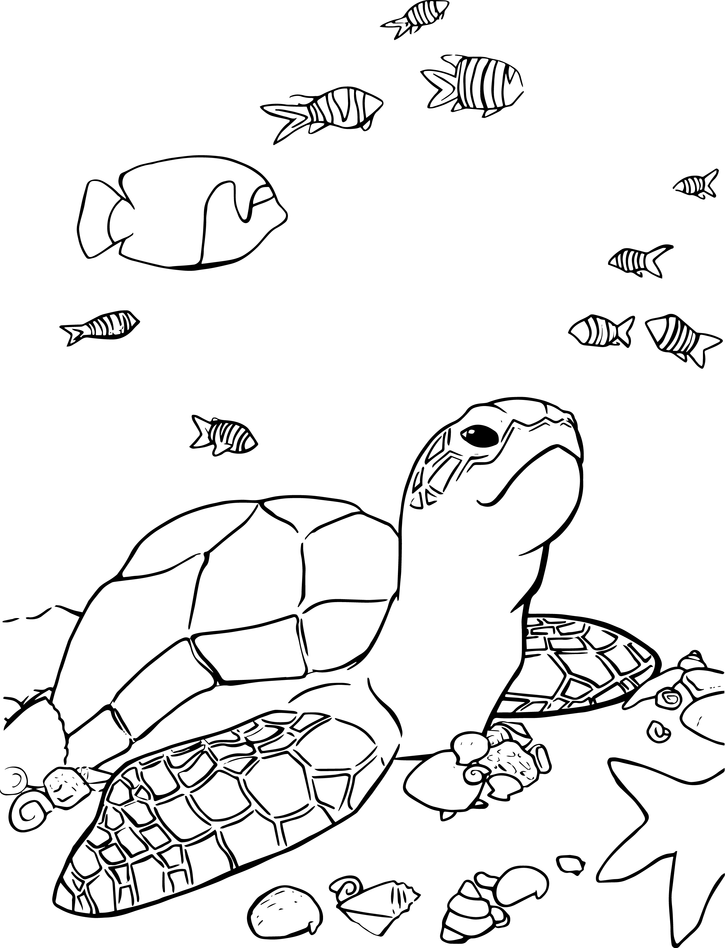 Coloriage Tortue De Mer By Papertiger 63 On Deviantart Coloriage Tortue De Mer By Papertiger 63 On Deviantart