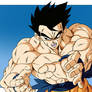 Gohan definitivo!