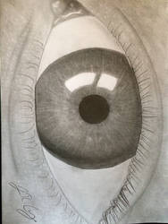 Just An Eye