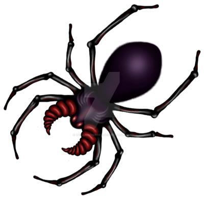 Spider Insect Deviantart Spider Design by IdyllicHorrors on DeviantArt