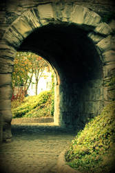 Archway to wonderland