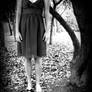 death series 5