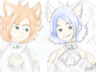 Los hermanos Fubuki