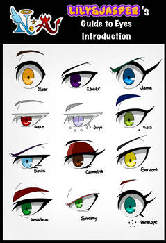 Guide to Eyes: Introduction