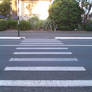 Pedestrian Crossing