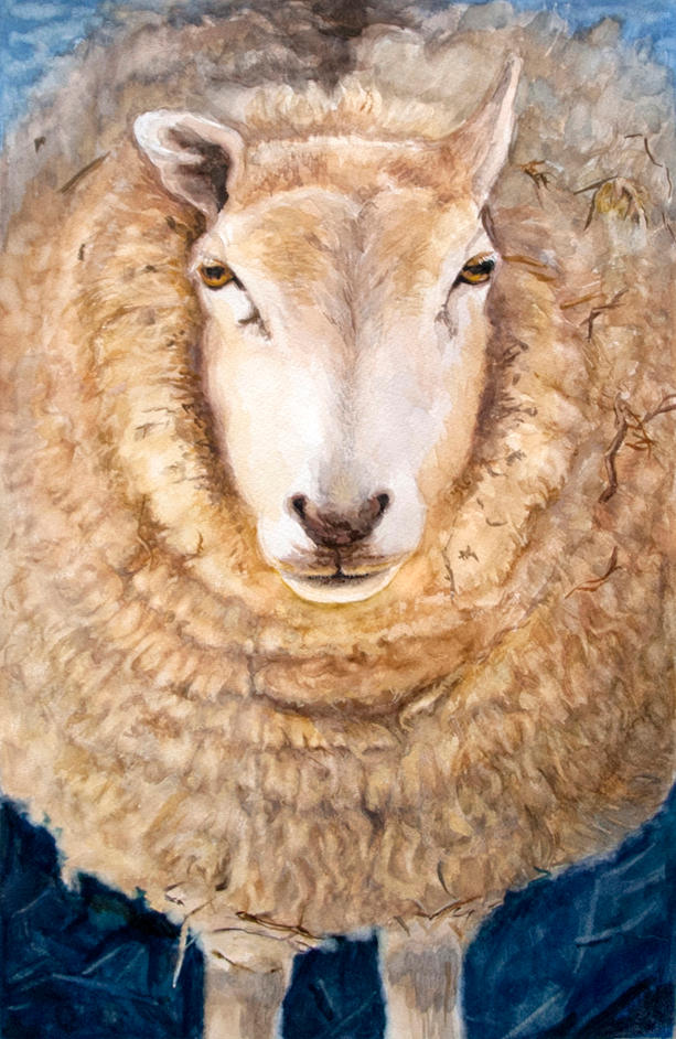 Sheep! by Fenny2009