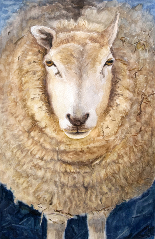 Sheep! by Fenny2009