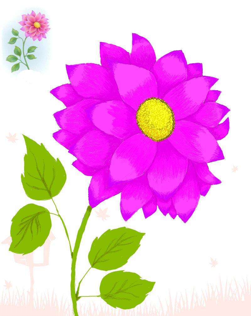 Flower Magenta