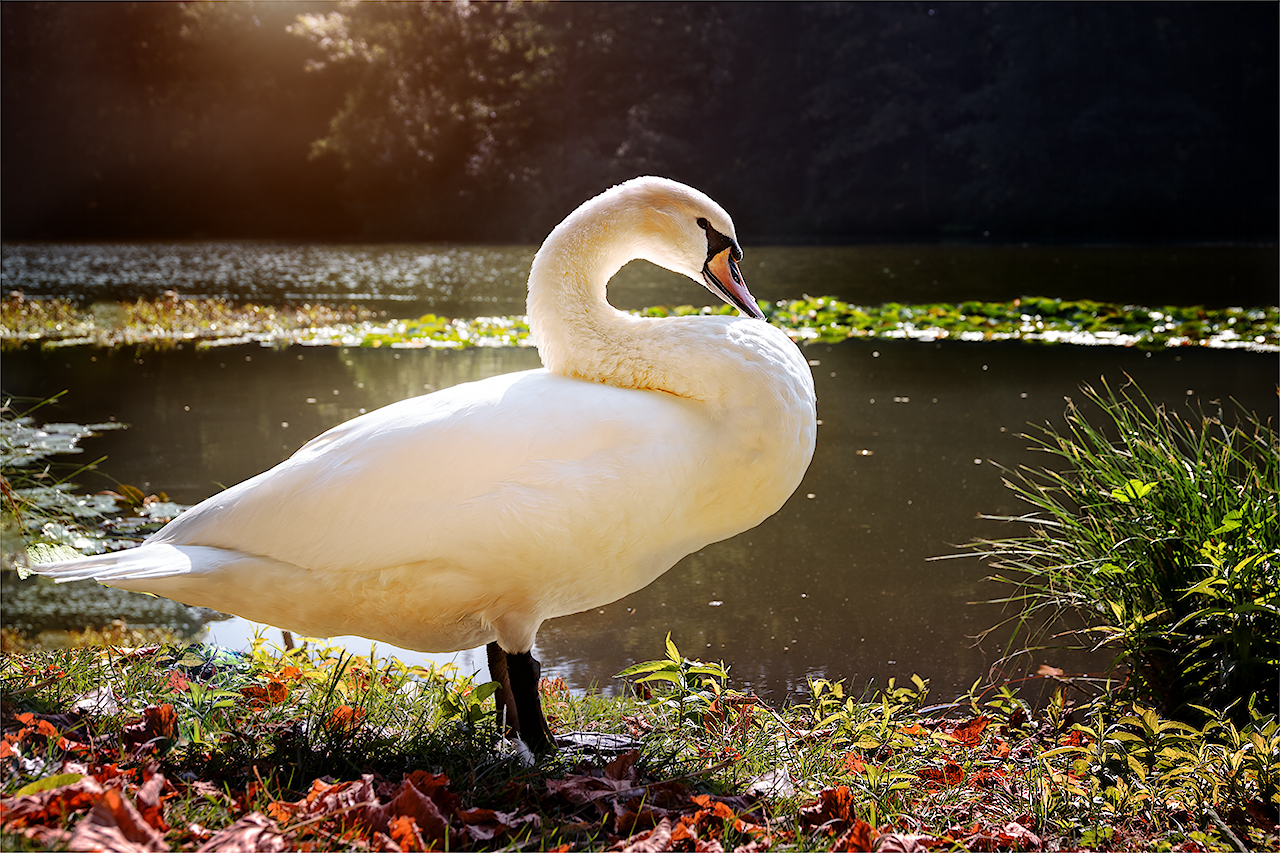 Sunbath