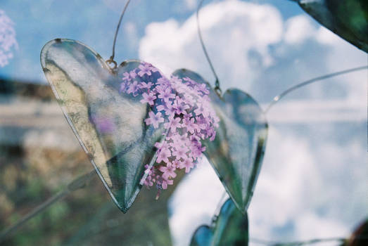 A Heart of Flowers - Double Exposure