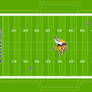 Football Field - VIKINGS!