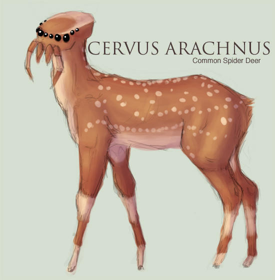 Cervus Arachnus