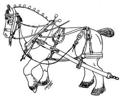 concord harness