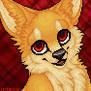 portrait - fennec.