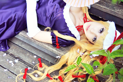 Yukari Yakumo - Youkai's awakening