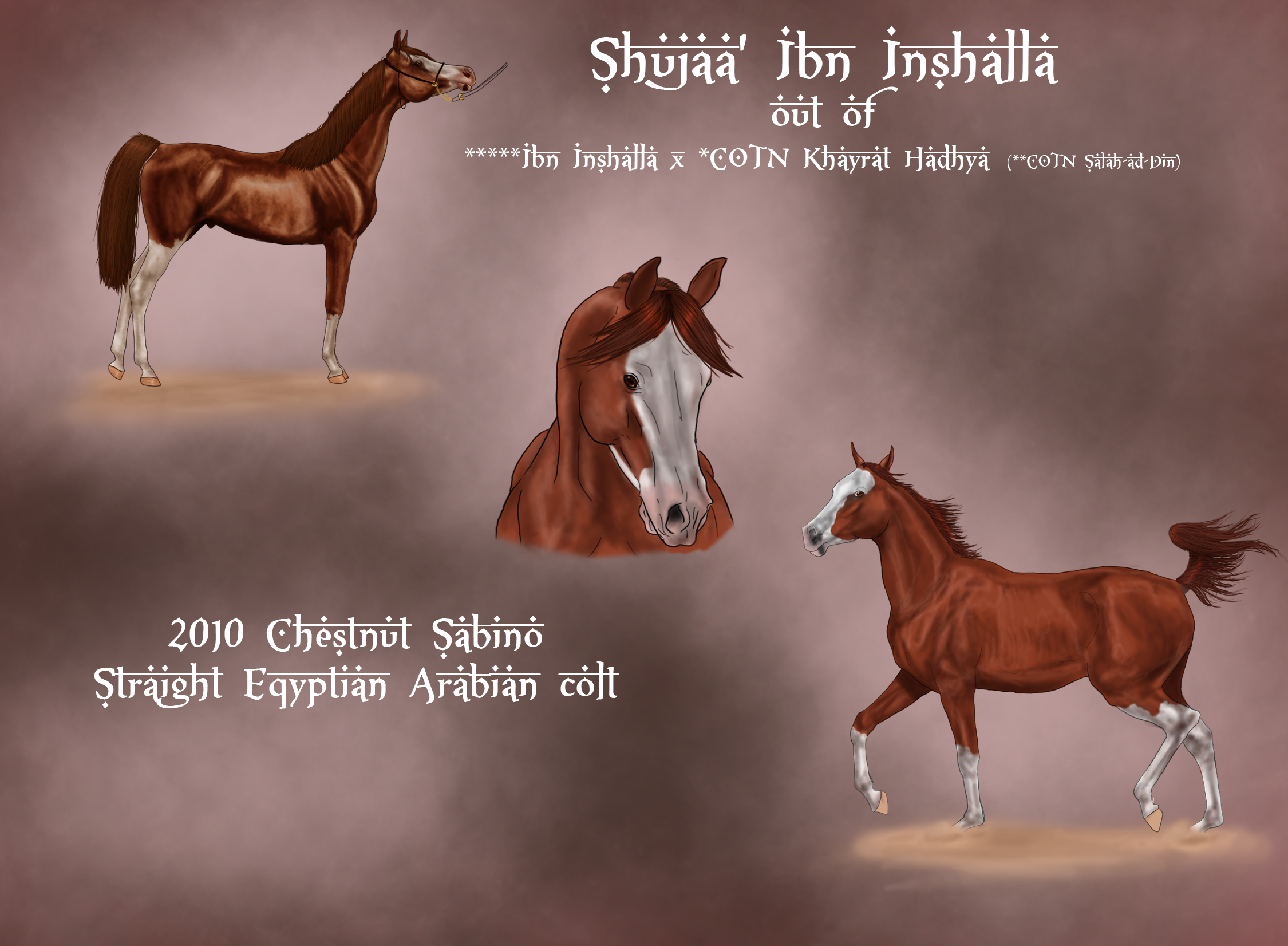 Shujaa' Ibn Inshalla Bid