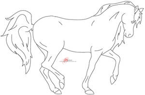 Dressage Horse Lineart