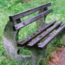 Lonely bench - after rain