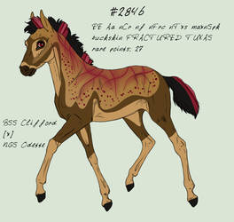 Foal Design #2846