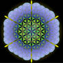 Flower-of-life-3