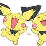 Pichu Buddies