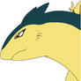 Confident Typhlosion