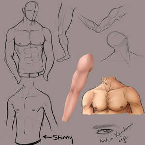 Random Male Anatomy Practice