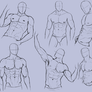 Man Anatomy Practice 2