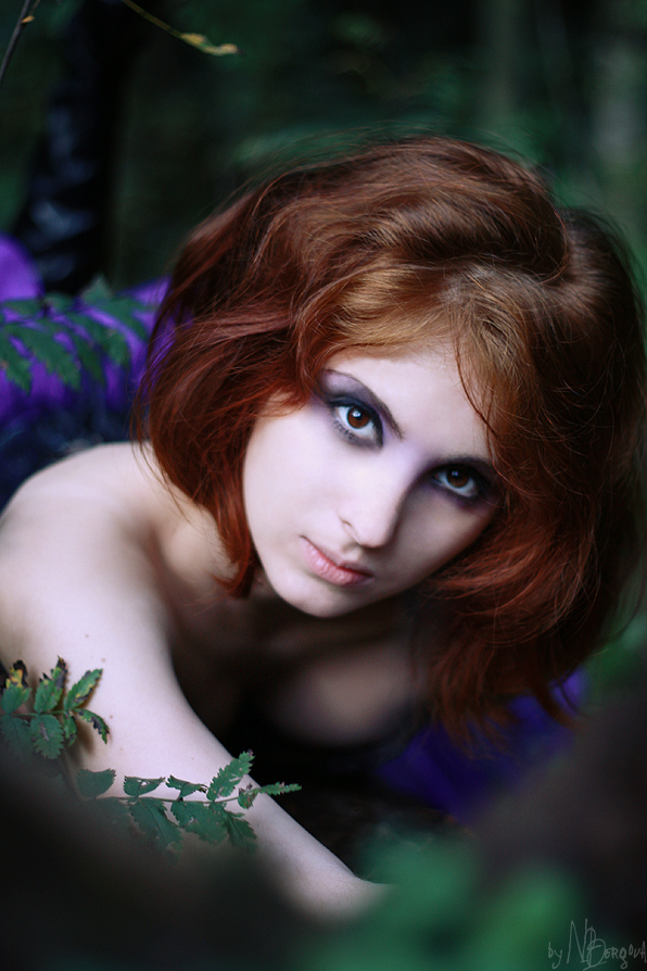 Dryad