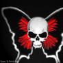 Skull Vampire Butterfly