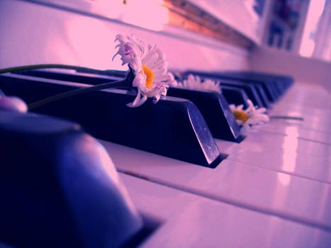 My piano