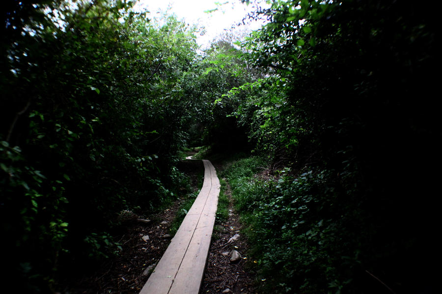 A Single Path by sonicman1230 on DeviantArt