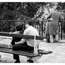 phoney love in paris