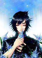 Noctis