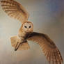 Owl watercolour