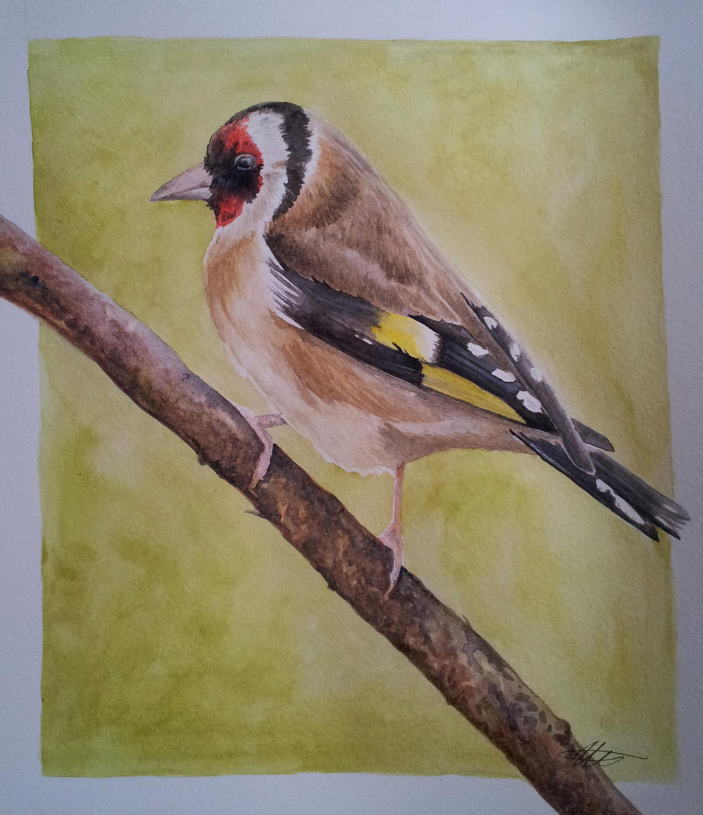 Goldfinch watercolour