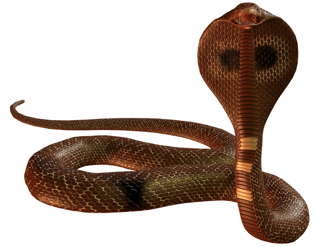 Snake 1,5